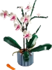 Орхидея 10311