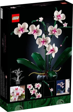Орхидея 10311